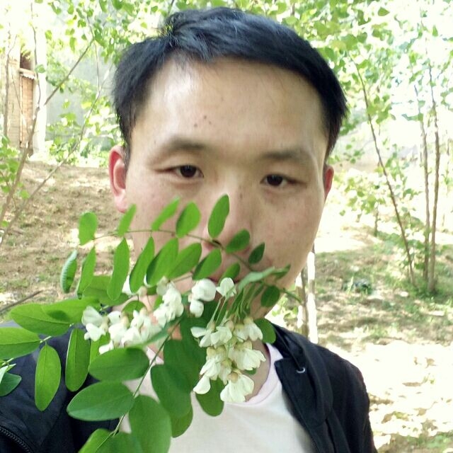 爱周口的第一张照片--西华王婆说媒